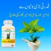 bawaseer ka ilaj piles treatment